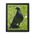 Black framed canvas print of a dark pigeon standing on green grass.
