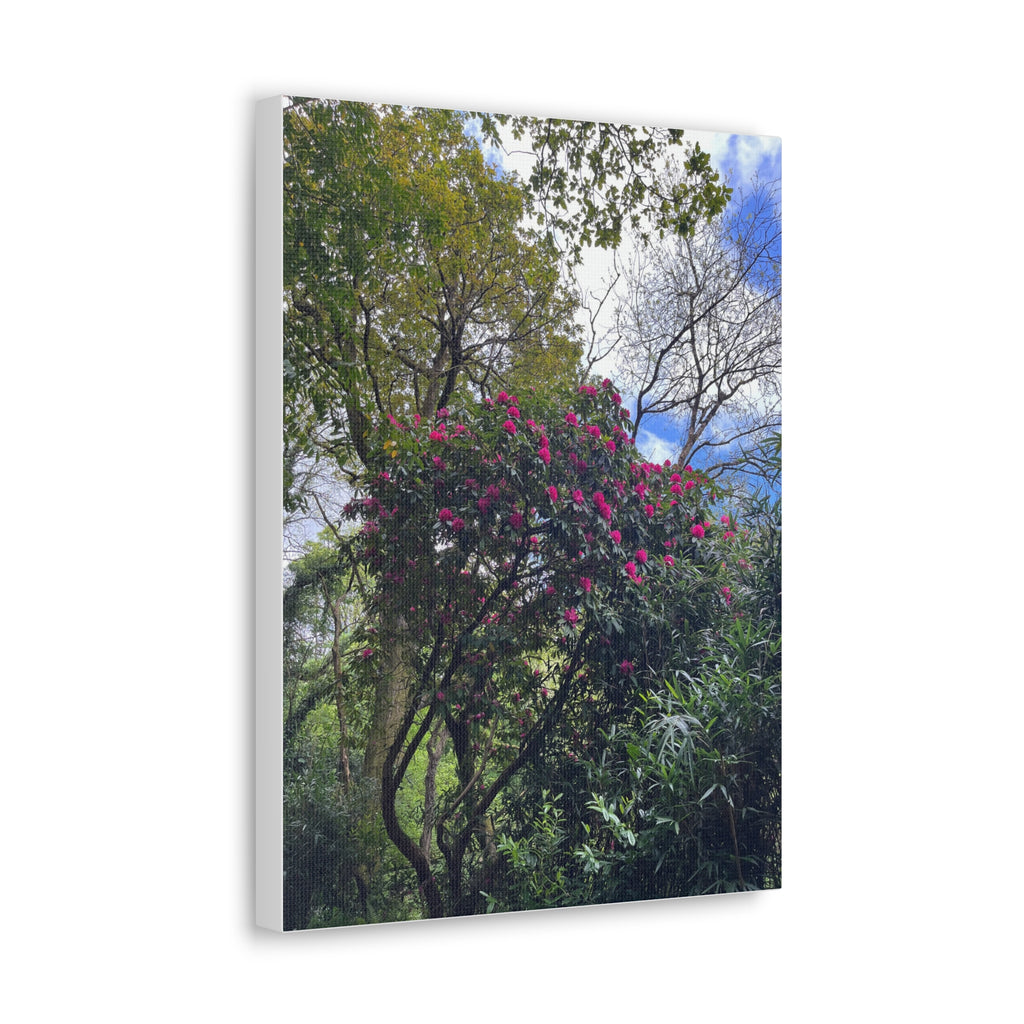 Floral Forest Canvas Print — Pink Blossom Nature Wall Art