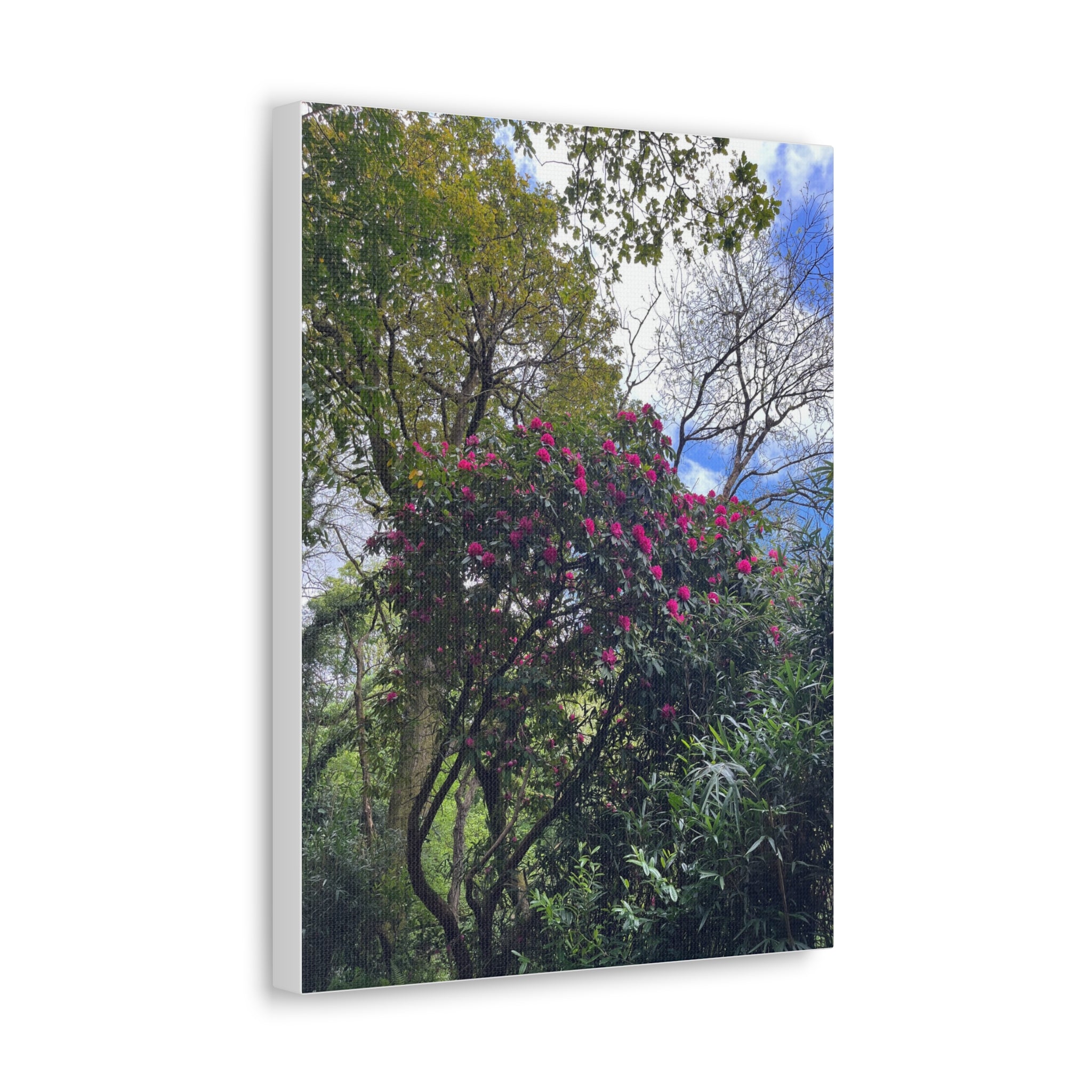 Floral Forest Canvas Print — Pink Blossom Nature Wall Art
