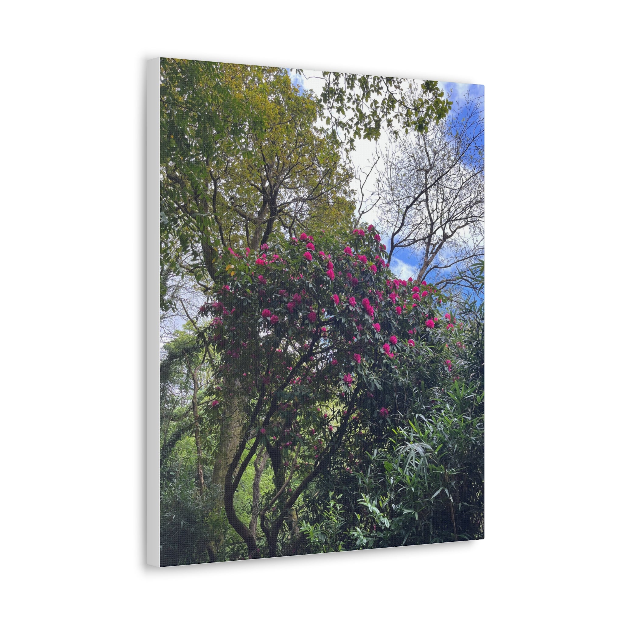 Floral Forest Canvas Print — Pink Blossom Nature Wall Art