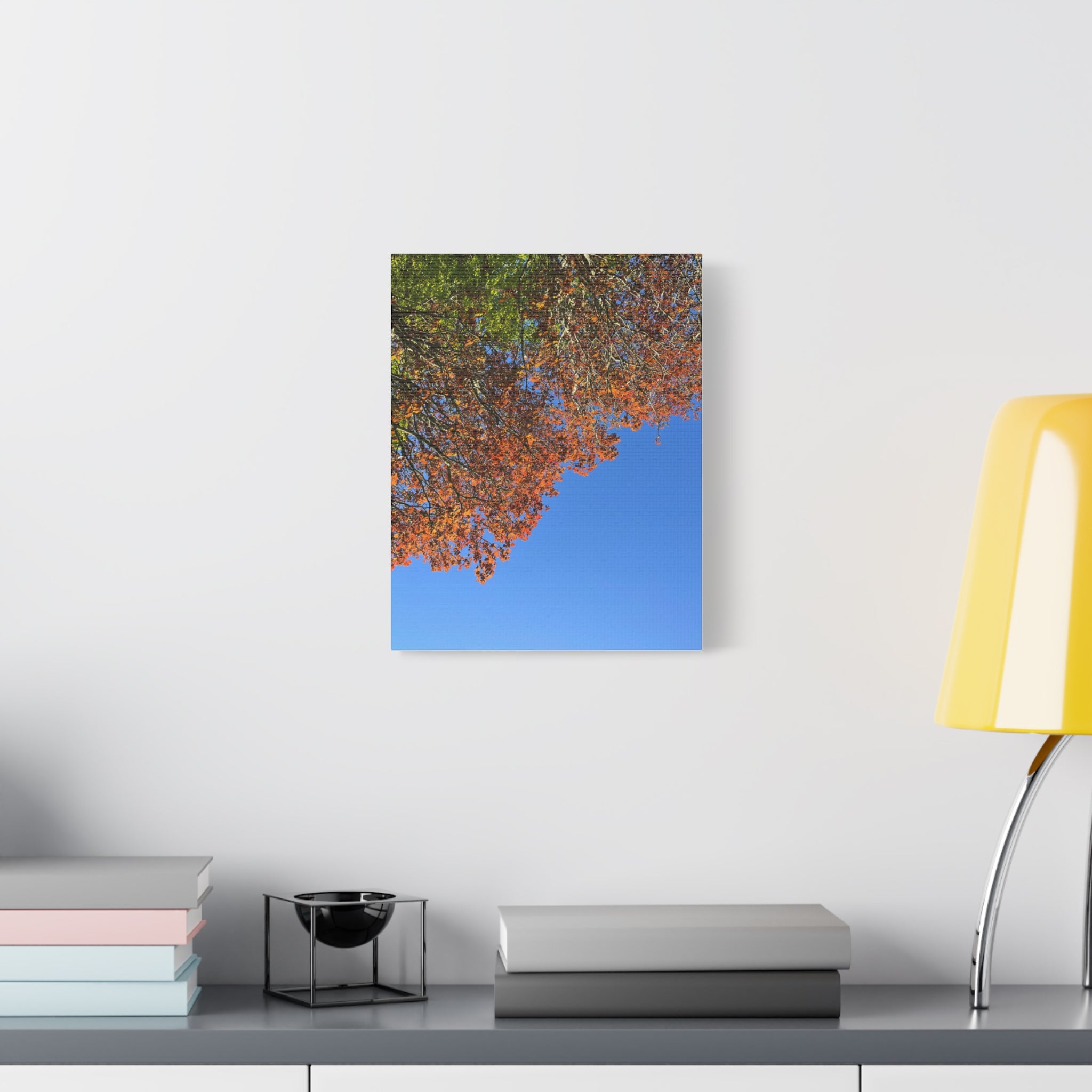 Autumn Canopy Matte Canvas Print — Stretched 1.25"