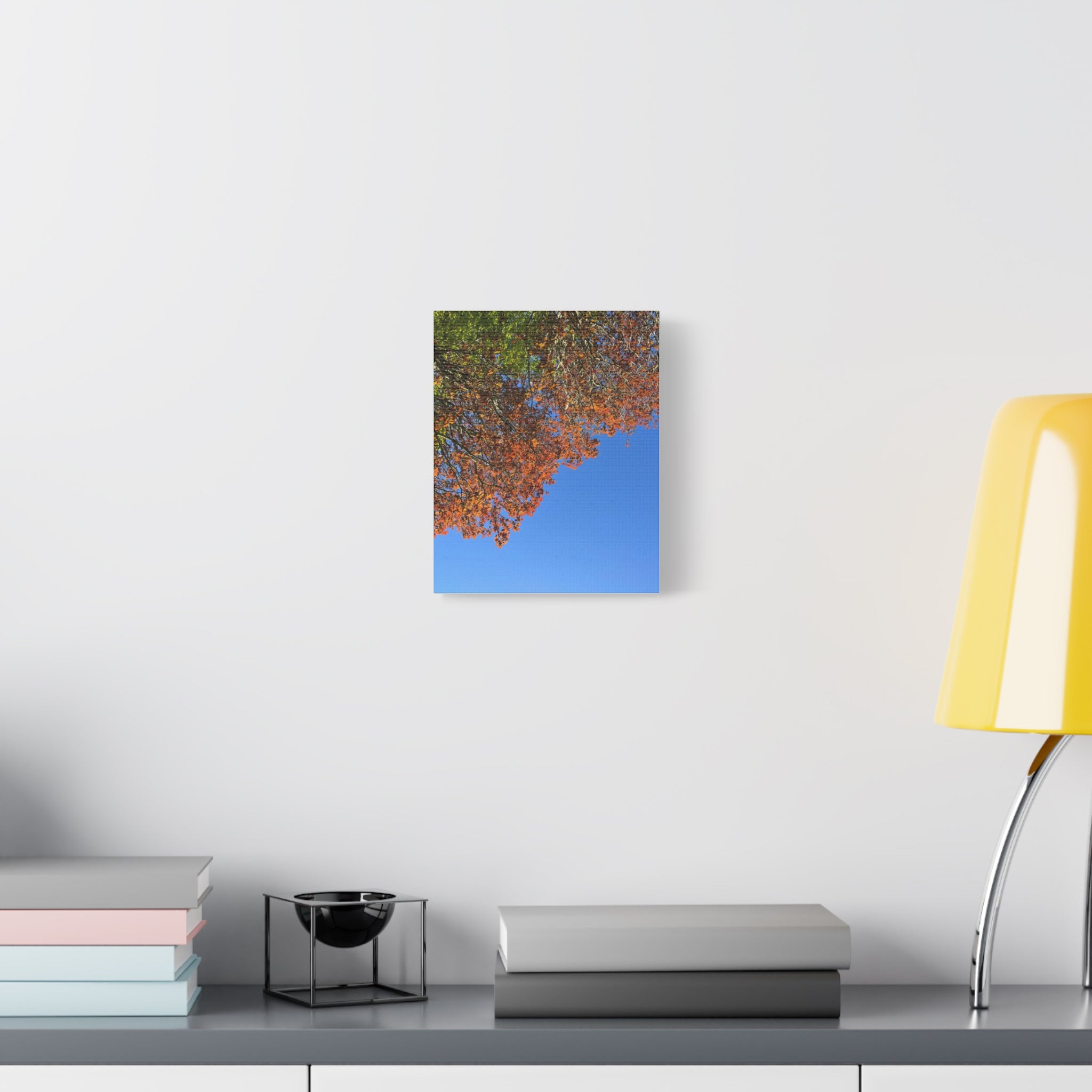 Autumn Canopy Matte Canvas Print — Stretched 1.25"