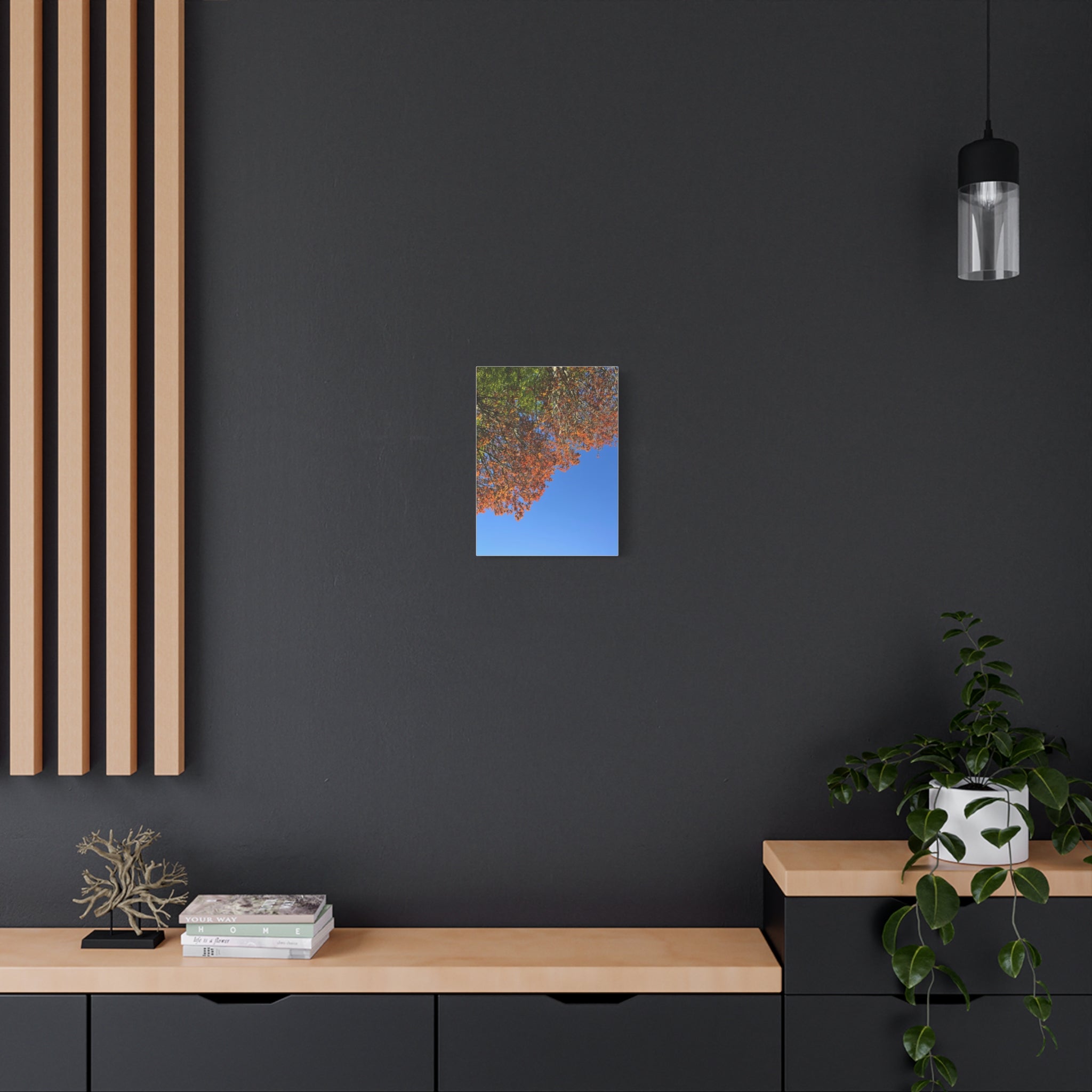 Autumn Canopy Matte Canvas Print — Stretched 1.25"