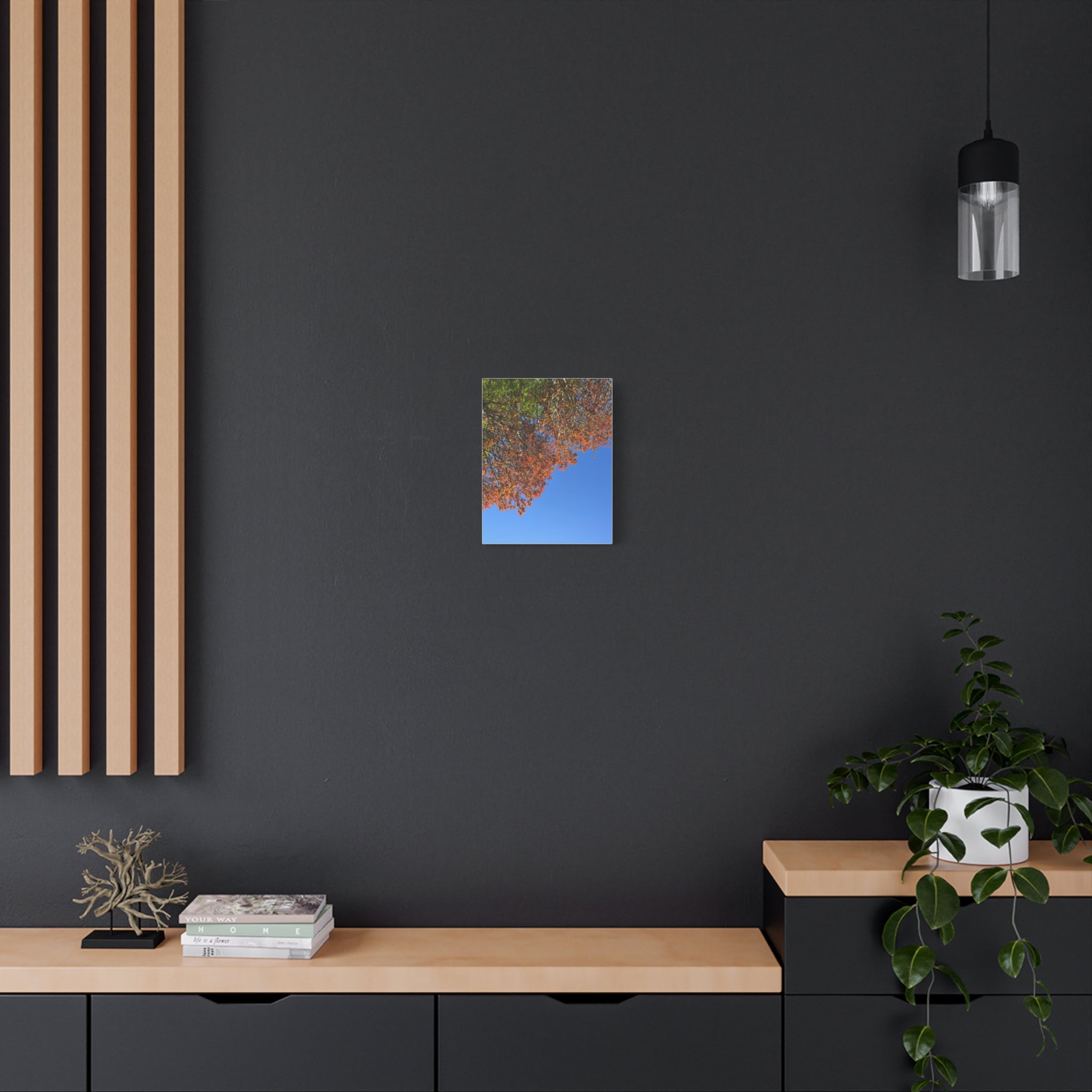 Autumn Canopy Matte Canvas Print — Stretched 1.25"