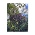 Floral Forest Canvas Print — Pink Blossom Nature Wall Art