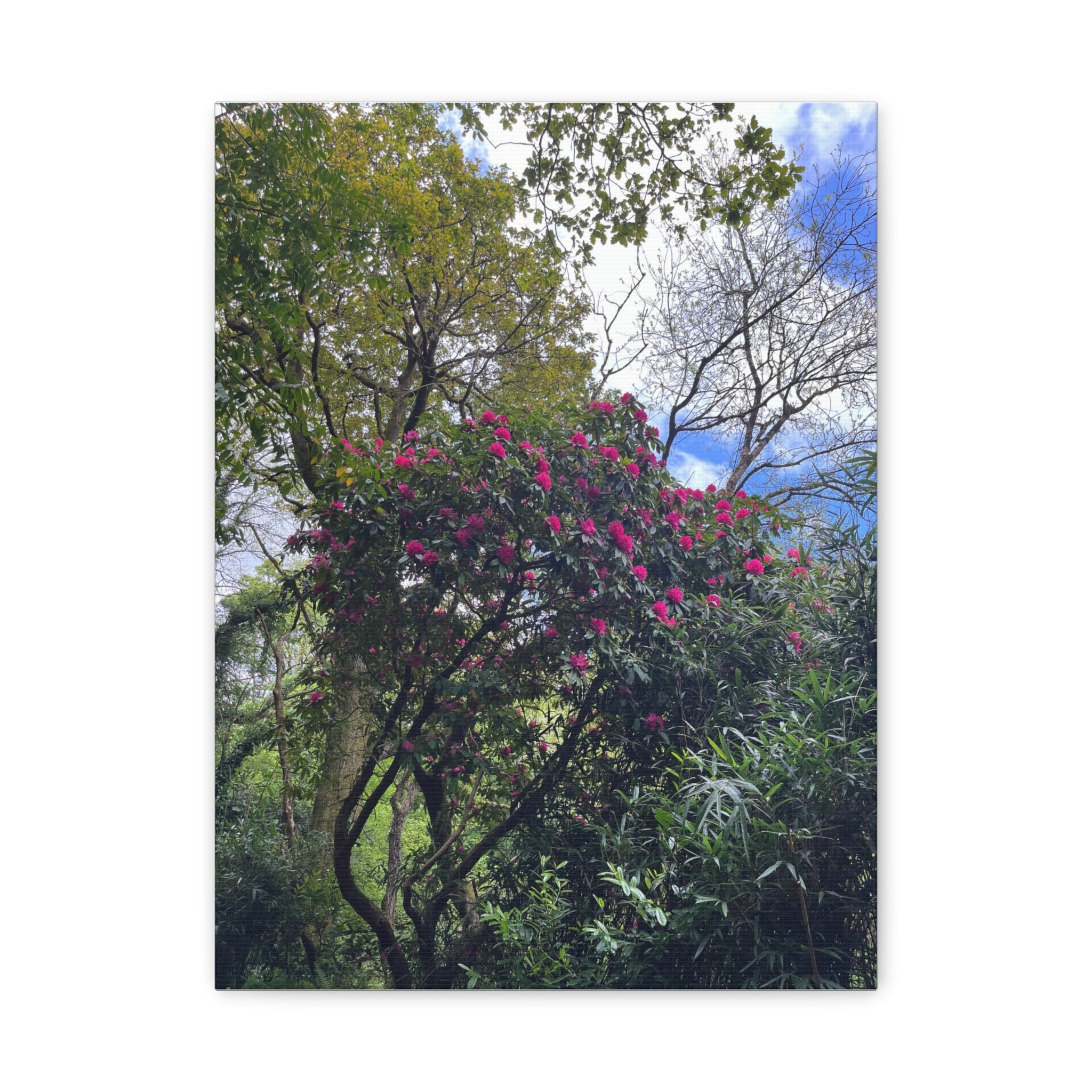 Floral Forest Canvas Print — Pink Blossom Nature Wall Art