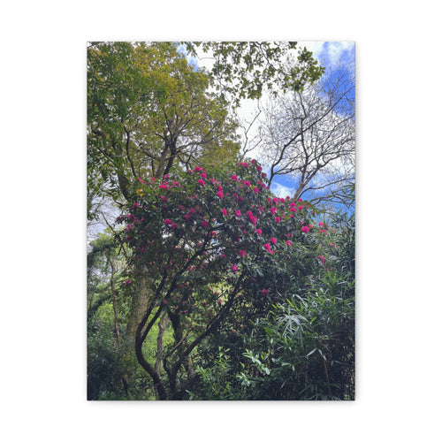 Portrait canvas wall art featuring leafy trees and vivid pink blossoms in nature