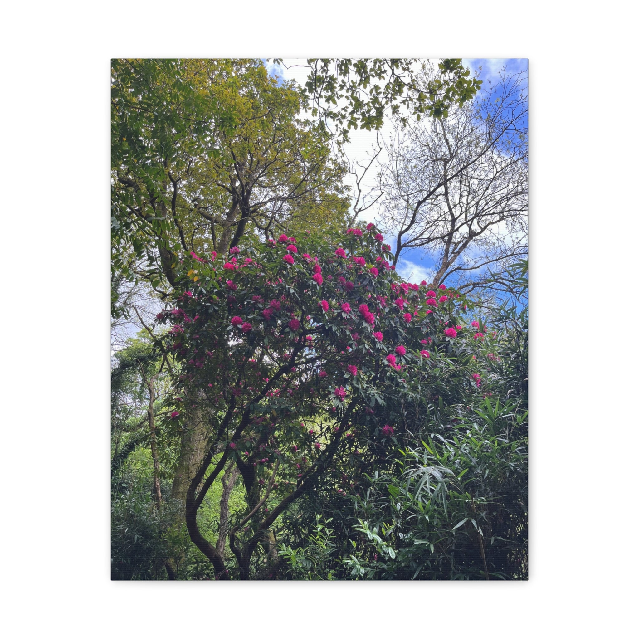 Pink Blossom Forest — Floral Nature Canvas Print