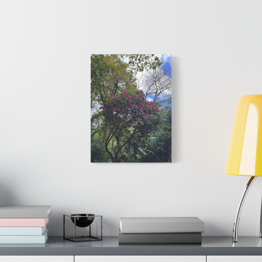 Floral Forest Canvas Print — Pink Blossom Nature Wall Art